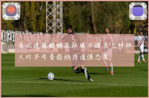 名记透露鹈鹕森林狼不追莫兰特热火对字母哥搭档持谨慎态度
