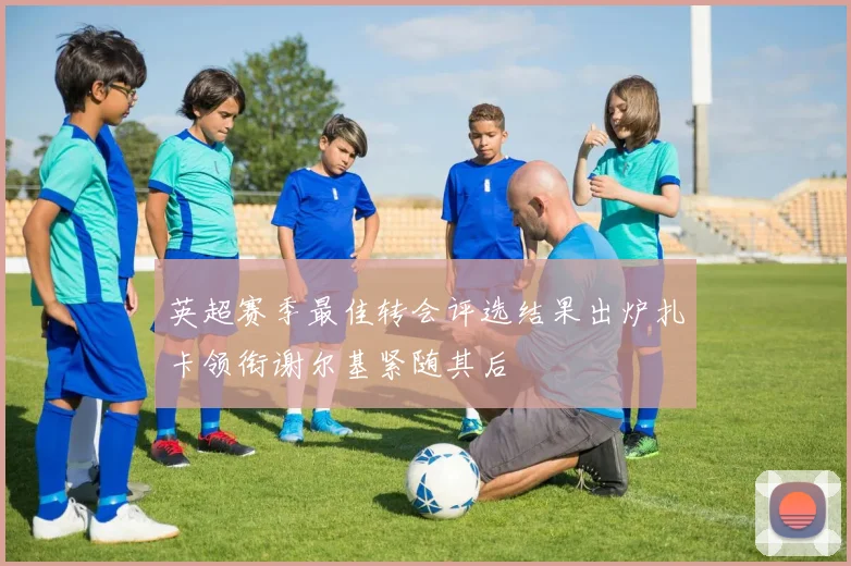 英超赛季最佳转会评选结果出炉扎卡领衔谢尔基紧随其后